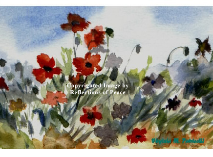 Flowers in the Field