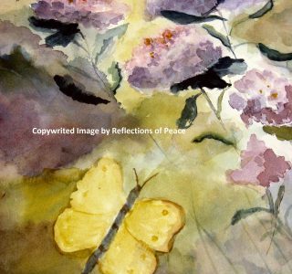 Hummingbird and Butterfly