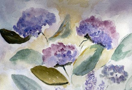 Hydrangeas in the Wind