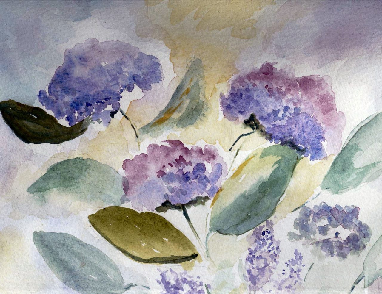 Hydrangeas in the Wind