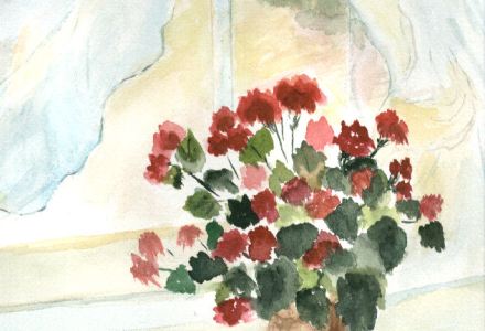 Geraniums in Window