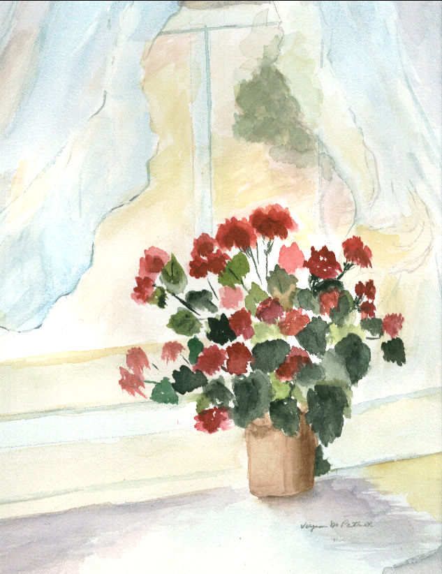 Geraniums in Window