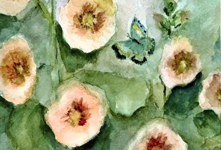 Hollyhocks and Butterfly