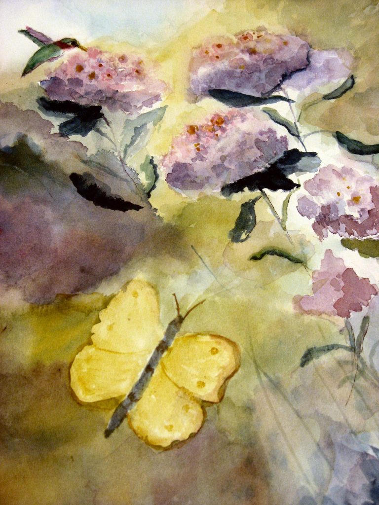 Hummingbird and Butterfly